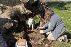 Zur Grube Glück-auf, T-Dogs,9.3.14, Foto Nr.11