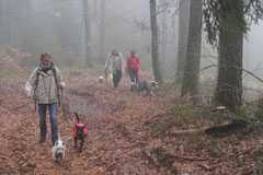 Rhön,Wellness+Wandern,Nov 2013 Foto Nr.:15