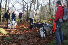 Rhön,Wellness+Wandern,Nov 2013 Foto Nr.:1