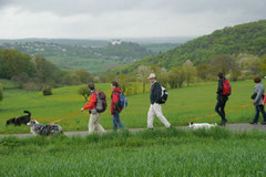 Fischbachtal, T-Dogs 4.5.13, Foto Nr.15