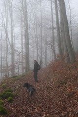 Rhön,Wellness+Wandern,Nov 2013 Foto Nr.:23