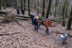 Gimbi,Staufen,Kaisertempel,T-Dogs,2.2.2014, Foto Nr.14