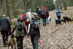 Hundeschulausflug-Sicher auf 4 Pfoten-Herzberg, April 2013, Foto Nr.19