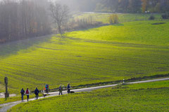 Rhön,Wellness+Wandern,T-Dogs,7.-9.11.2014, Foto Nr.13