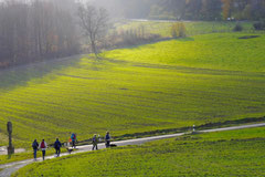 Rhön,Wellness+Wandern,T-Dogs,7.-9.11.2014, Foto Nr.13