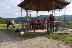 Assmannshäuser Höllenberg, T-Dogs, 17.5.2015 Foto Nr.17