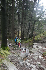 Rhön,Wellness+Wandern,T-Dogs,7.-9.11.2014, Foto Nr.17