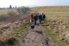 Rhön,Wellness+Wandern,Nov 2013 Foto Nr.:11