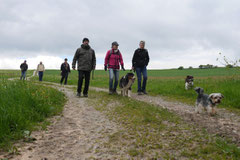 Rhön Frühlingserwachen,T-Dogs,3.+4.5.2014, Foto Nr.3