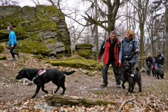 Hundeschulausflug-Sicher auf 4 Pfoten-Herzberg, April 2013, Foto Nr.14