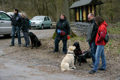 Hundeschulausflug-Sicher auf 4 Pfoten-Herzberg, April 2013, Foto Nr.1