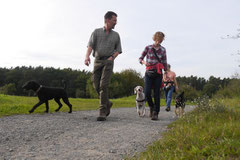 Hundeschulausflug Sicher auf 4 Pfoten, Grüner See, 28.9.14, Foto Nr.8