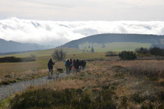 Rhön,Wellness+Wandern,T-Dogs,7.-9.11.2014, Foto Nr.24