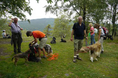 Eröffnungswanderung Trekking-Dogs, Juli 2011 Altkönig