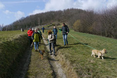 Bensheimer Weinlagen, März 2013 Foto Nr.21