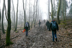 Gimbi,Staufen,Kaisertempel,T-Dogs,2.2.2014, Foto Nr.13