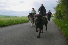 Rhön Frühlingserwachen,T-Dogs,3.+4.5.2014, Foto Nr.4