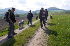 Rhön Frühlingserwachen,T-Dogs,3.+4.5.2014, Foto Nr.18