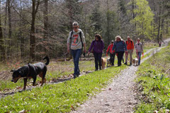 Taunushöhen,T-Dogs,18.4.2015 Foto Nr.18