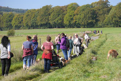 Grünwiesenweiher Welttierschutztag, T-Dogs, 4.10.2014 Foto Nr.10