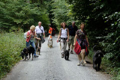 Eröffnungswanderung Trekking-Dogs, Juli 2011 Altkönig