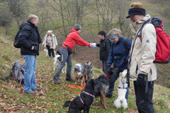 Rhön,Wellness+Wandern,Nov 2013 Foto Nr.:13