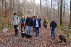 Rhön,Wellness+Wandern,T-Dogs,7.-9.11.2014, Foto Nr.1