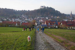 Fischbachtal,T-Dogs,23.11.2014, Foto Nr.17