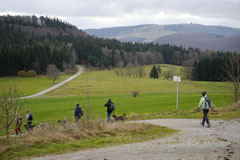 Rhön,Wellness+Wandern,T-Dogs,7.-9.11.2014, Foto Nr.19