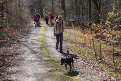 Taunushöhen,T-Dogs,18.4.2015 Foto Nr.15