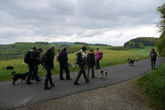 Rhön Frühlingserwachen,T-Dogs,3.+4.5.2014, Foto Nr.5