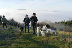 Rhön,Wellness+Wandern,Nov 2013 Foto Nr.:26