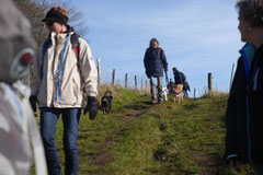 Rhön,Wellness+Wandern,T-Dogs,7.-9.11.2014, Foto Nr.26