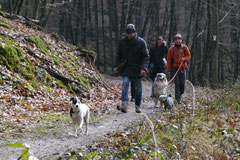 Gimbi,Staufen,Kaisertempel,T-Dogs,2.2.2014, Foto Nr.16