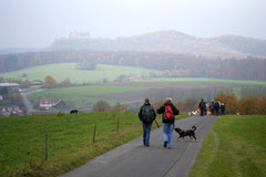 Rhön,Wellness+Wandern,T-Dogs,7.-9.11.2014, Foto Nr.5