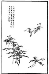 Wang Chou-ming a beaucoup aimé à faire les pins lointains des sommets de montagne. Mille, dix mille arbres et plus, il les entremêlait, innombrables, en guise de tien-t’ai. Cela peut en même temps ajouter à la beauté de la montagne.