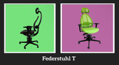 Federstuhl t