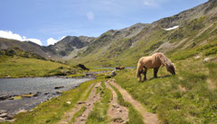 Estany d'en Gombeau, réserve piscicole au pied du Carlit