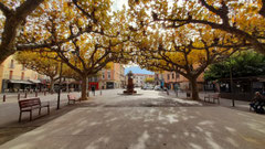 La place de Prades sous les platanes dorés en novembre.