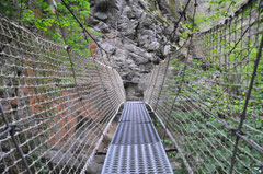 Passerelle sur le St Vincent