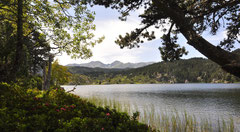 Au loin, le Carlit vue de L'Estany Negre.