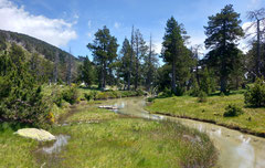 La source du Caillan dans la Réserve Naturelle de Nohèdes.