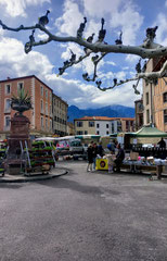 A ne pas rater, le marché de Prades.