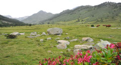 La vallée de la haute Têt au dessus du Lac des Bouillouses