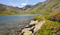 Les eaux cristallines de l'Estany de Trébens.