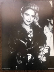 MP254 MADONNA GRAPHICS