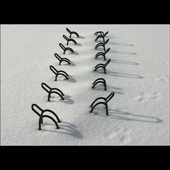 BIKE RACKS (Shadows in the snow in Sunriver, Oregon)