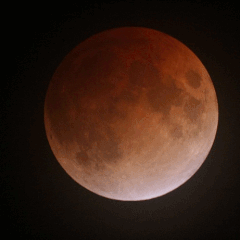 Eclipse de Lune du 21 fevrier 2008 (Canon 350D au foyer du Mak Intes 180mm)