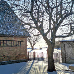 Der Gutsgarten mit Kirschbaum
