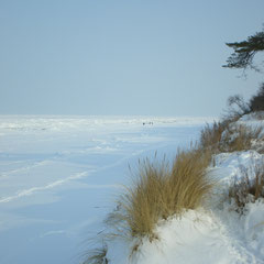 Am verschneiten Strand in Lobbe